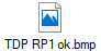 TDP RP1 ok.bmp