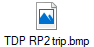 TDP RP2 trip.bmp