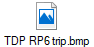 TDP RP6 trip.bmp